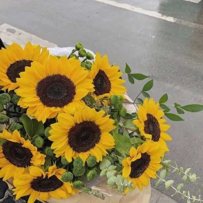 凤凰彩票appapp下载截图